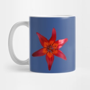 Bold Lilly Mug